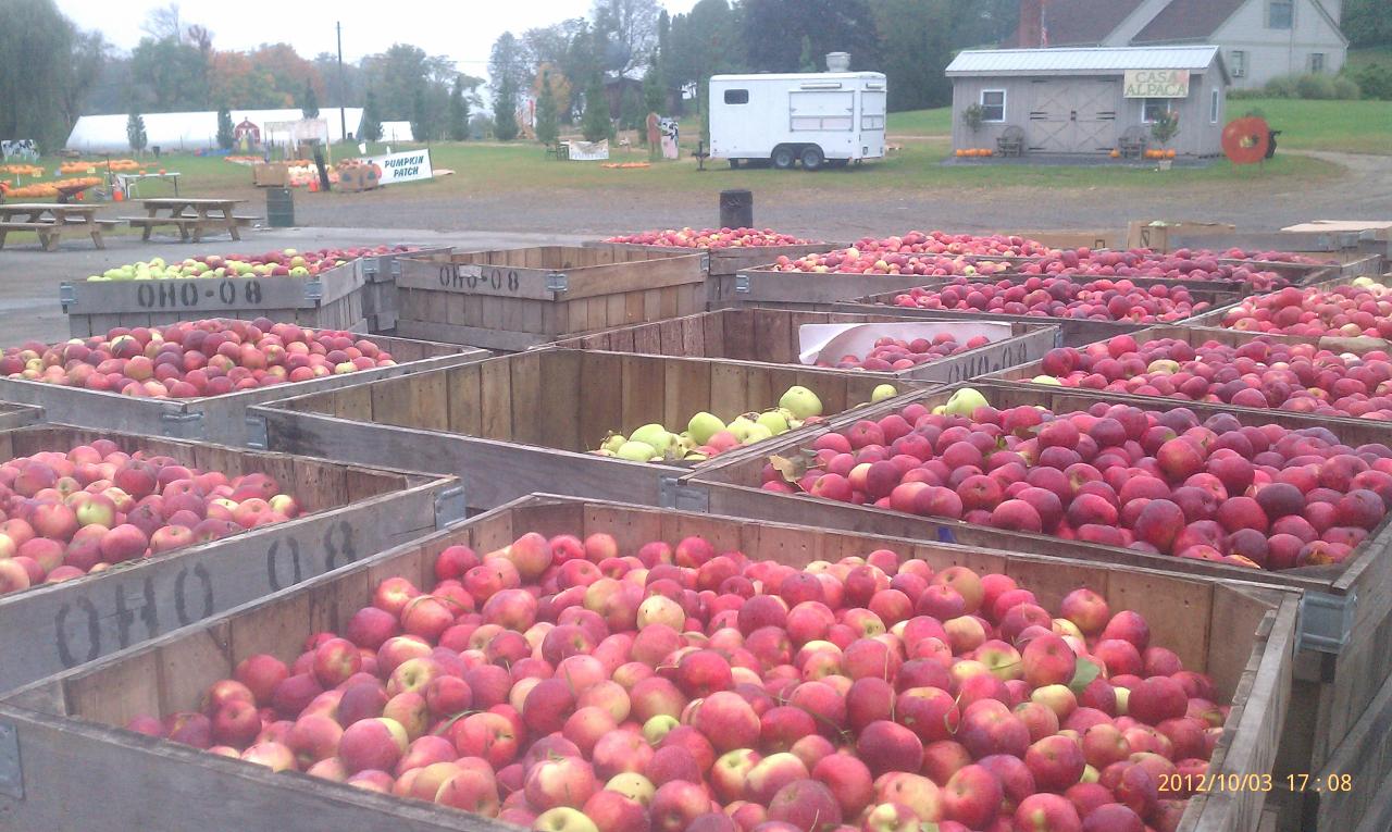 Why Harvest Moon Orchard Is the Ultimate Fall Adventure