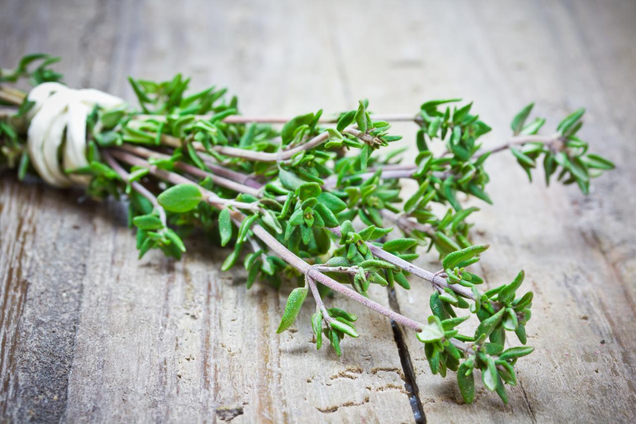 Thyme Piece: The Herb That Can Boost Any Meal’s Flavor