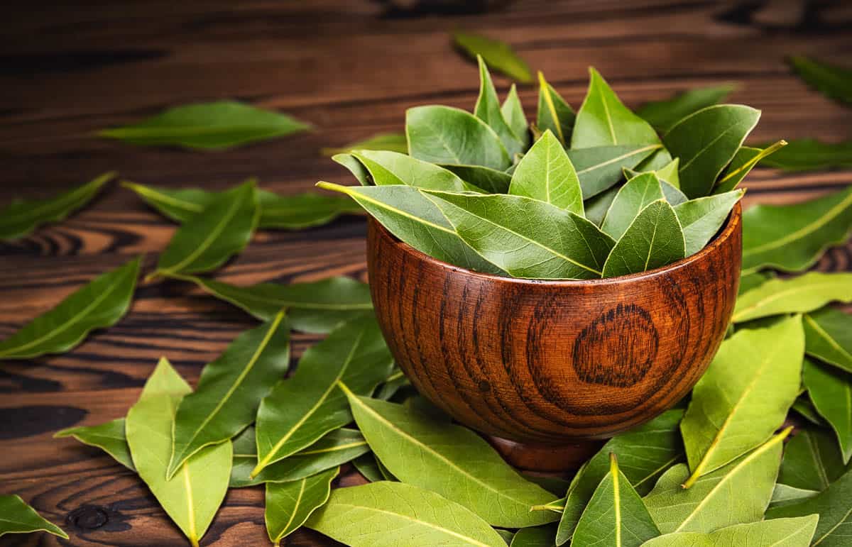 How to Find the Best Bay Leaf Substitutes for Your Cooking Needs