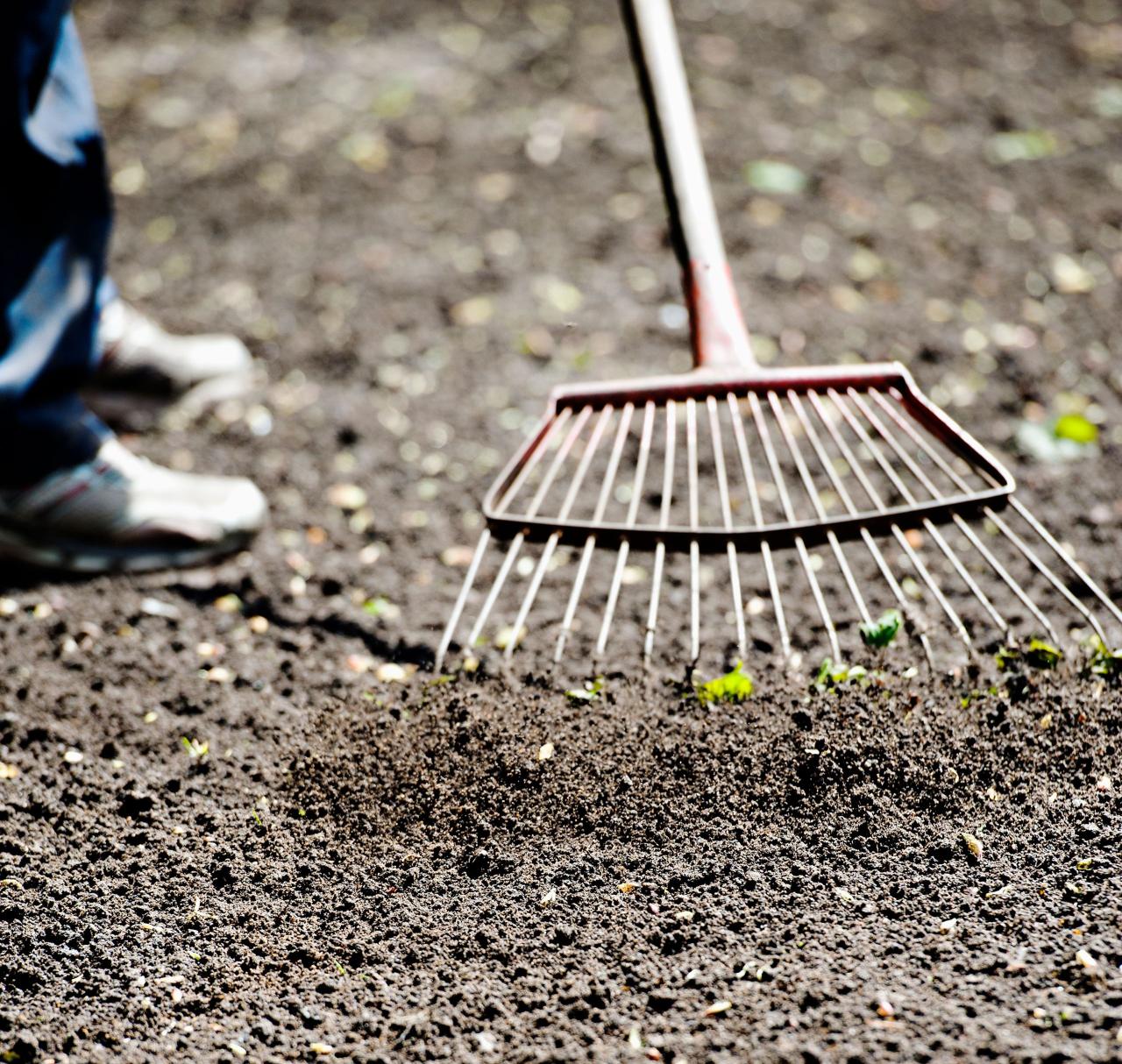 The Best Tips for Successful Grass Seed Planting in September